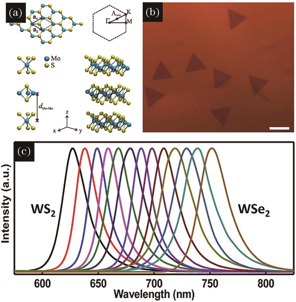 The crystal structure, optical images,and photoluminescence (PL) of two-dimensional transition-metal dichalcogenide. (a) The diagram of the crystal structure of MoS2[35];(b) the optical images of WSxSe2-x monolayer[36]; (c) the normalized PL spectra of WSxSe2-x monolayer with different ratios[36]