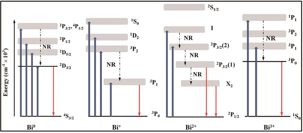Energy level diagrams of Bi ions (Bi0, Bi+, Bi2+, Bi3+) [2, 4]