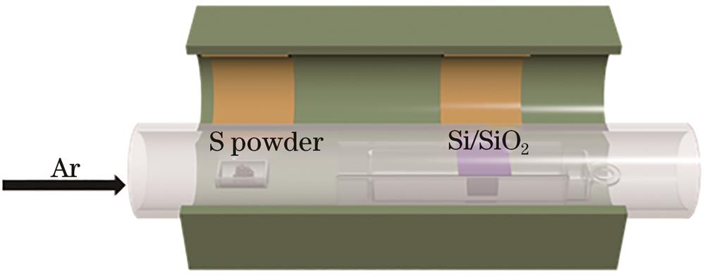 Experimental setup for the growth of MoS2 based on APCVD
