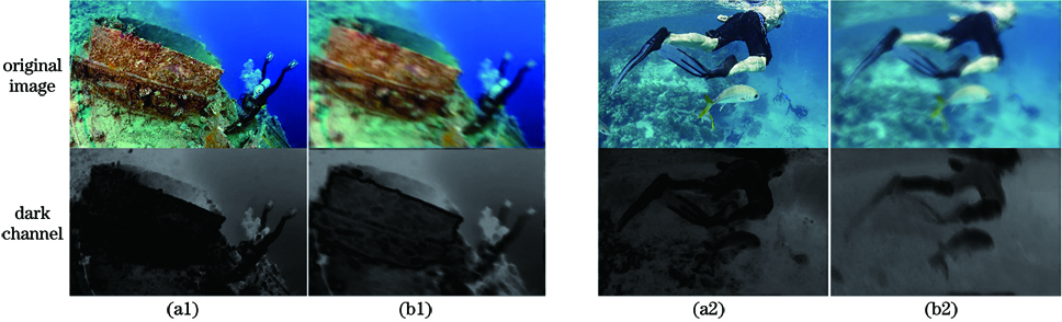 Comparison of red channel of underwater images. (a1)(a2) Clear images; (b1)(b2) blurred images