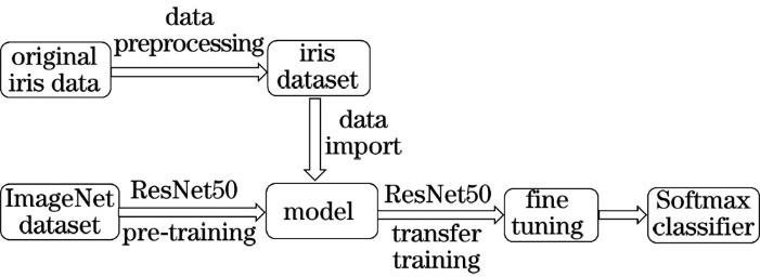 Process flowchart of ResNet model