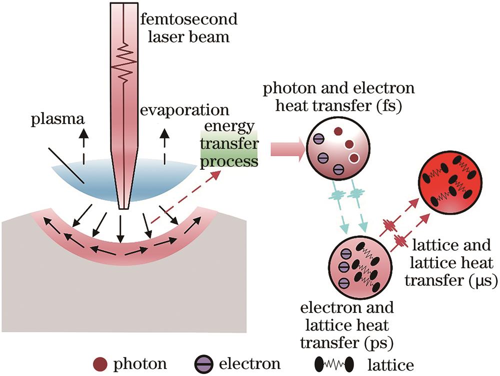 Energy transfer process from femtosecond laser source to crystal lattice