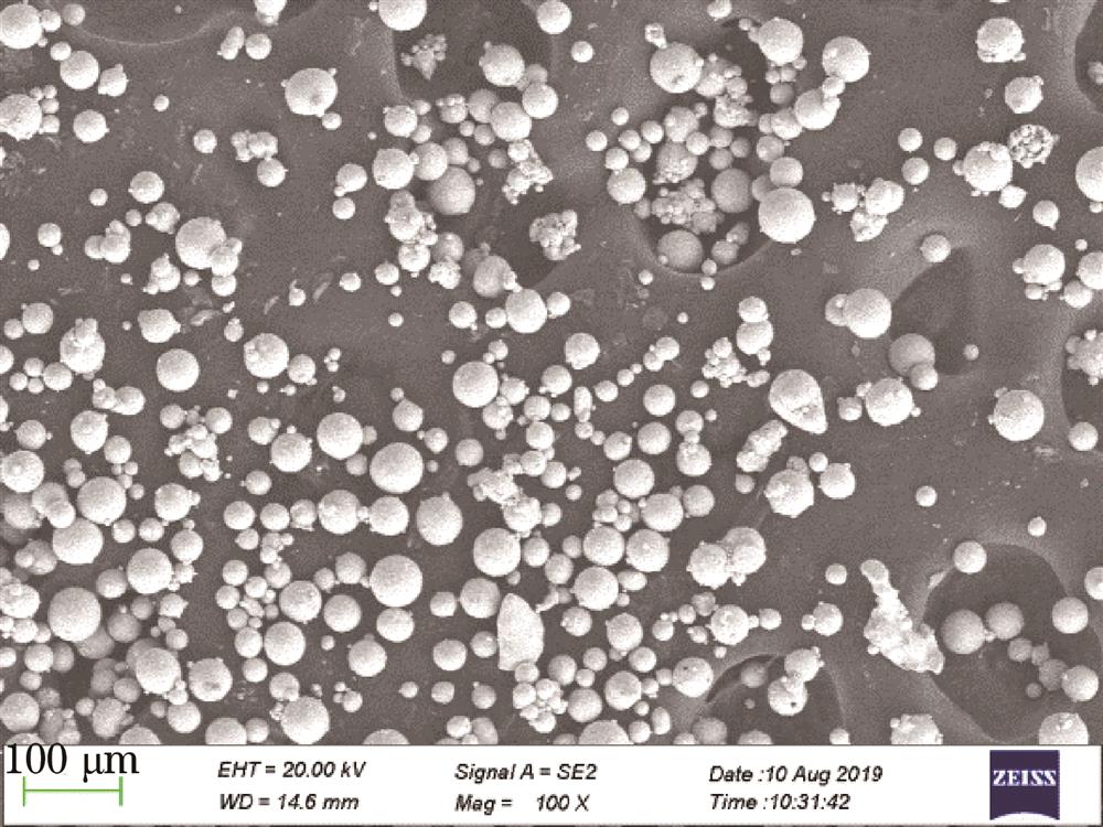 Microstructure of TC4 alloy powder