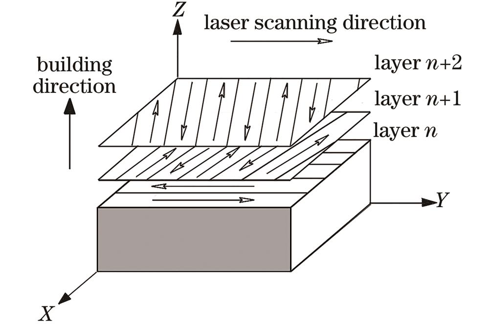 Schematic of scanning strategy of SLM forming