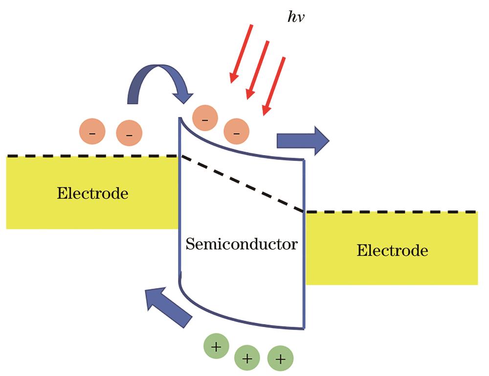 Schematic diagram of photodetector