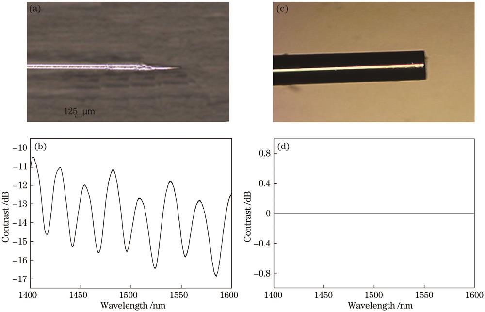 Structure and spectrum of the optical fiber. (a) Optical picture of the tapered polymer; (b) reflection interference spectrum of the tapered polymer; (c) optical picture of the fiber end face; (d) reflection interference spectrum of the fiber end face