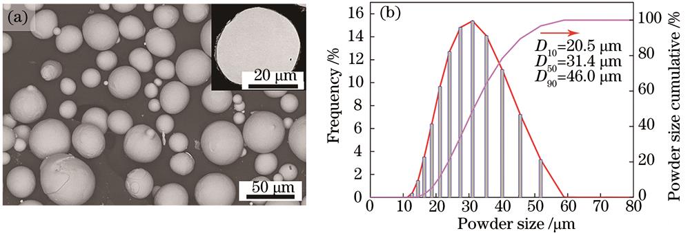 Morphology and particle size distribution of Ni50Ti50 powder. (a) Powder morphology; (b) particle size distribution