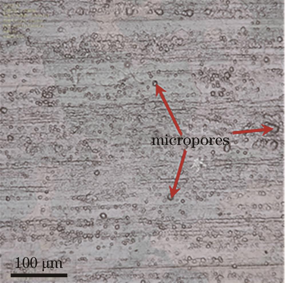 Morphology of oxidation film on the aluminum alloy substrate