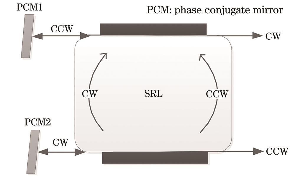 Scheme diagram of SRL subject to phase conjugate optical feedback