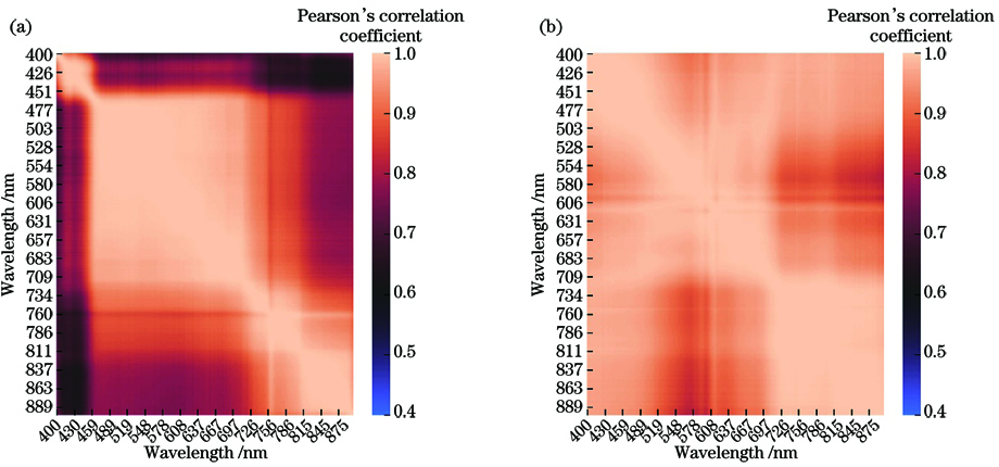 Correlation matrices of remote sensing reflectance data. (a) March 11, 2019; (b) August 5, 2019