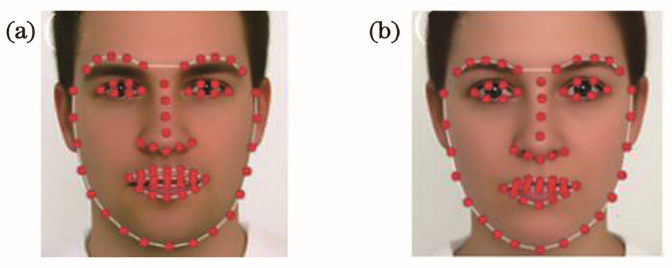 Positive face feature points extracted by ASM. (a) Positive face 1; (b) positive face 2