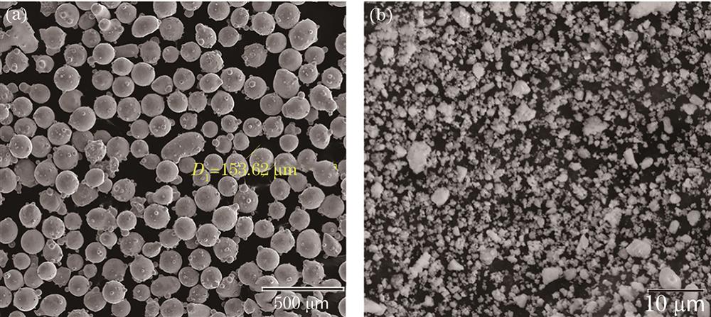 SEM micrographs of powder. (a) Ni60A powder; (b) CeO2 powder