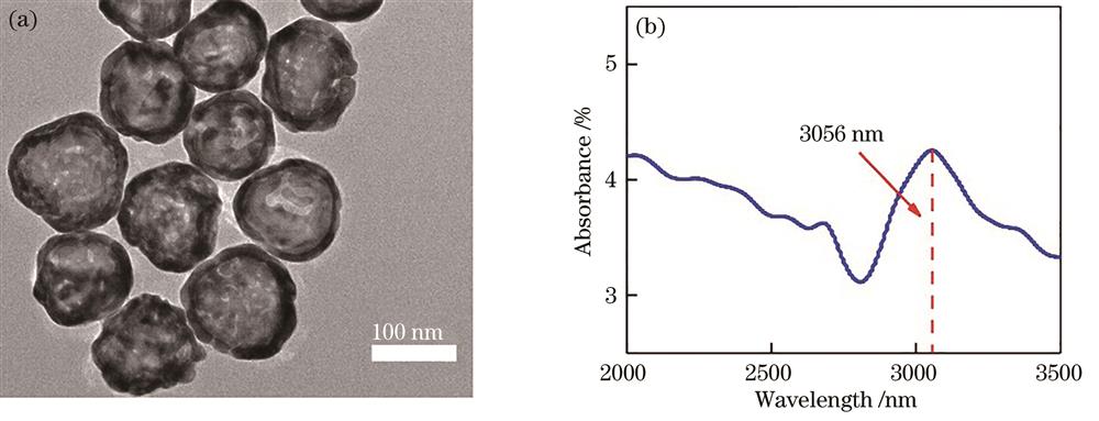 Measurement results of Au nanocages. (a) TEM image of Au nanocages; (b) absorption spectrum of Au nanocages