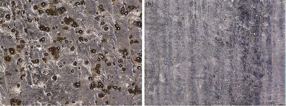 Surface topographies under ultra depth of field microscope. (a) High-speed laser cladding surface; (b) laser remelting surface