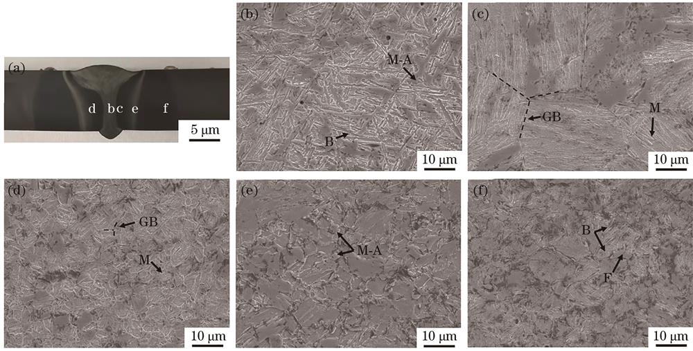 Microstructure of welded joint. (a) Macroscopic topography; (b) weld zone; (c) coarse-grained region; (d) fine grain zone; (e) incomplete phase transition region; (f) base metal