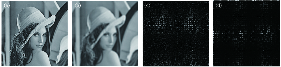 Sharp and blurred images and their DWHT results. (a) Sharp image; (b) blurred image; (c) DWHT of Fig.1(a); (d) DWHT of Fig.1(b)