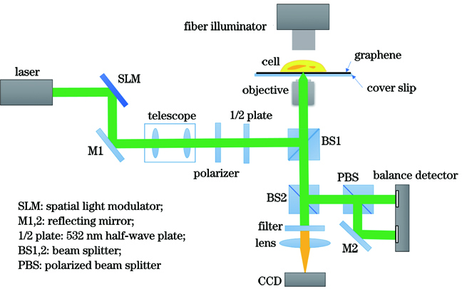 Schematic of graphene-based refractive index microscopy system