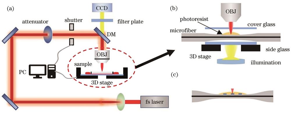 Two-photon polymerization system based on femtosecond laser. (a) Two-photon polymerization system; (b) three-dimensional control platform; (c) processed microfiber