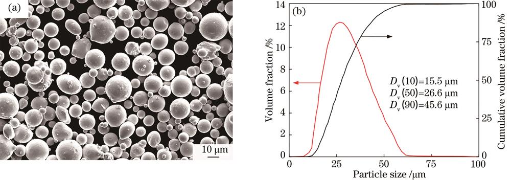 SLM 316L stainless steel powders. (a) Morphologies; (b) particle size distribution