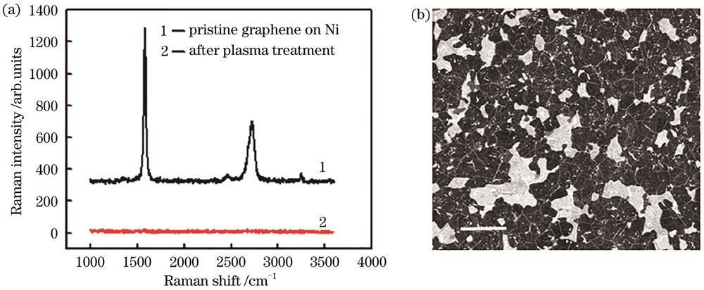 Characterization of graphene on the surface of nickel film. (a) Raman spectra of graphene on the surface of nickel film before (curve 1) and after (curve 2) oxygen plasma treatment; (b) SEM image of graphene on the surface of nickel film,scale bar is 3.5 μm