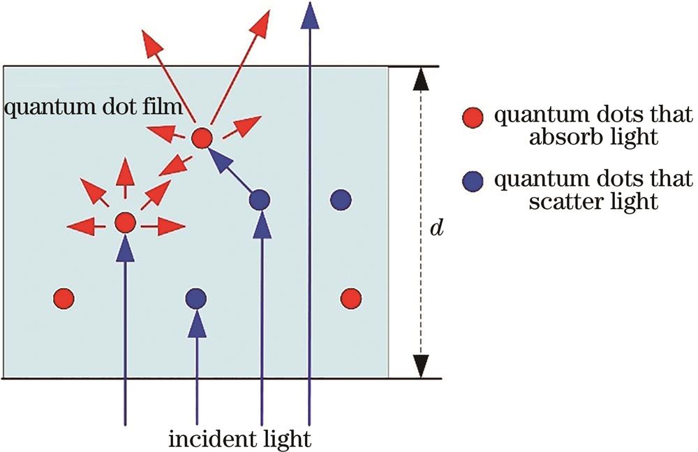 Diagram of light transmission process in quantum dot materials
