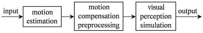 Schematic diagram of compensation model framework for dynamic image perception effect
