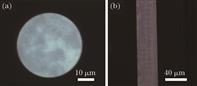Core morphology of untreated SiGe core fiber. (a) Cross section; (b) profile section