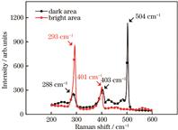 Raman spectra corresponding to dark area and bright area of the fiber cross section