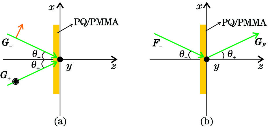 Schematic diagram of polarization holography. (a) Recording stage; (b) reading stage