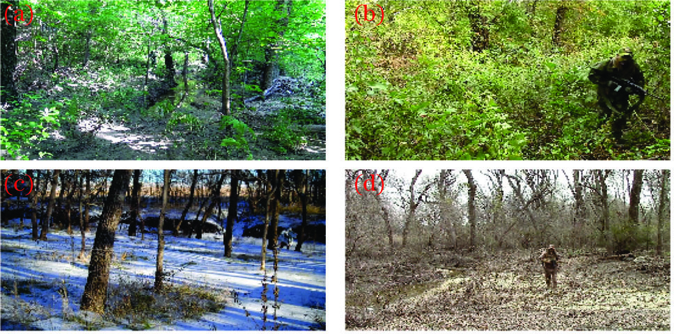 Sample images for 4 types of scenarios. (a) Rainforest; (b) jungle; (c) snowfield; (d) mountain