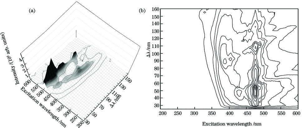 3D synchronous fluorescence spectrum of Radix Salviae miltiorrhizae powder solution with mass ratio of 0.4%. (a) 3D plot; (b) contour plot