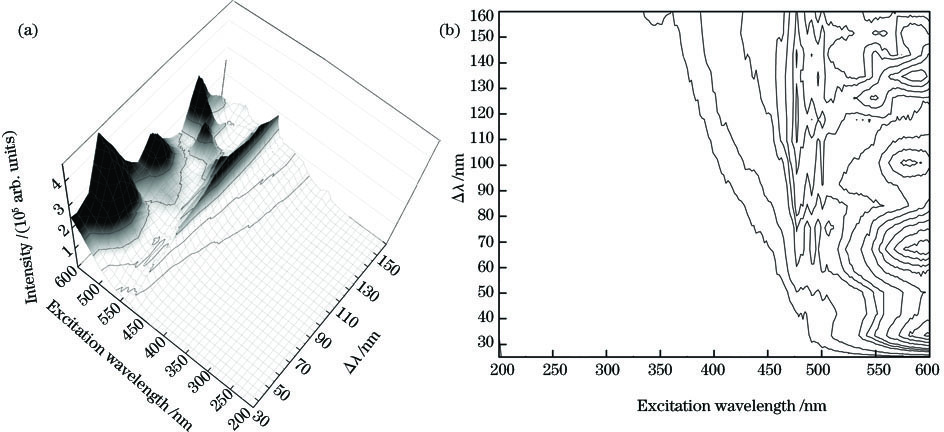3D synchronous fluorescence spectrum of Radix Salviae miltiorrhizae powder solution with mass ratio of 4%. (a) 3D plot; (b) contour plot