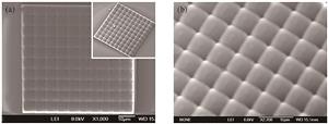 SEM image and its partial enlarged view of 100% fill factor square microlens array[32]. (a)SEM image; (b) partially enlarged view
