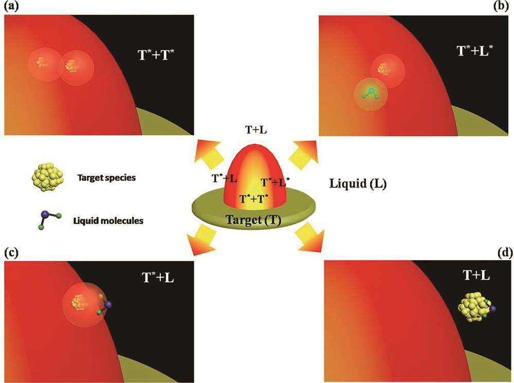 Four chemical reactions occur inside the plasma and liquid and at the interface between the plasma and the liquid[31]. (a) In the laser-induced plasma, reaction clusters are target plasma; (b) in the laser-induced plasma, reaction clusters are target plasma and liquid molecules; (c) at the interface between laser-induced plasma and the liquid, reaction clusters are target plasma and molecules of the liquids; (d) in the liquid, reaction clusters are the target and molecules of liquid