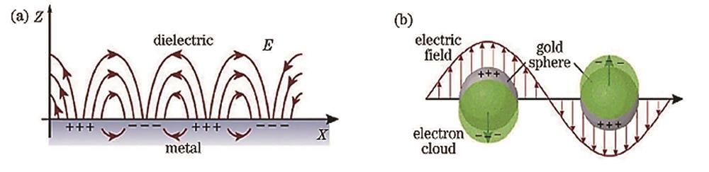 Fundamental of surface plasmons[29]. (a) Schematic of surface plasmon polaritons at metal-dielectric interface; (b) schematic of localized surface plasmon resonance in metal nanosphere