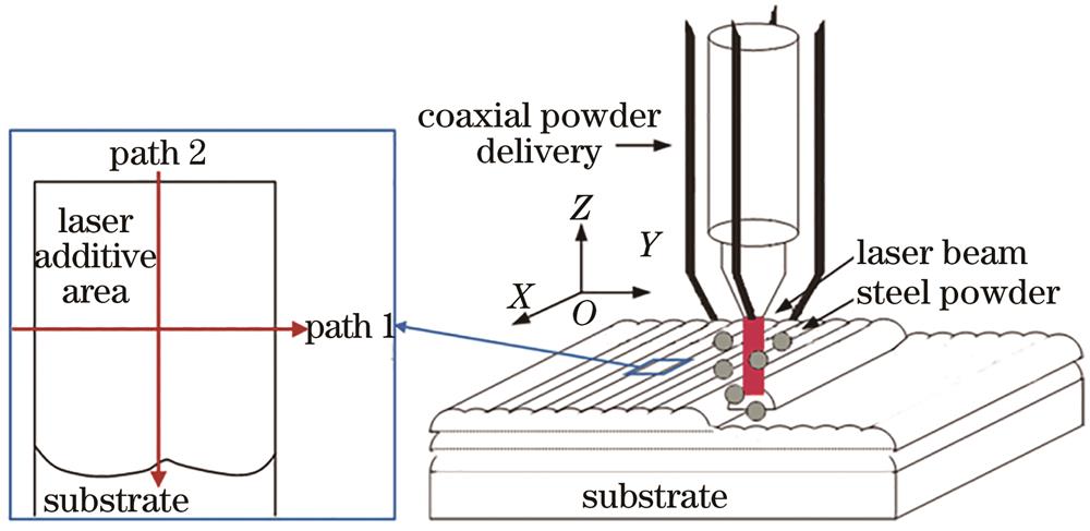 Coaxial powder feeding laser direct metal deposition experiment and schematic of the hardness measurement paths