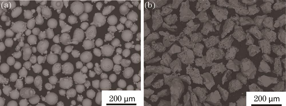 SEM images of cladding powders. (a) Fe50 powder; (b) TiC powder
