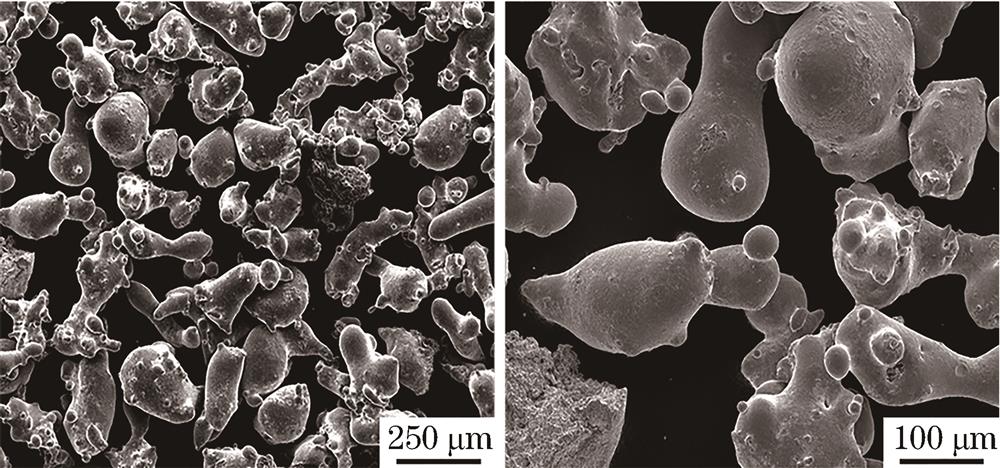 Microstructures of Lc-Sr-31 powder