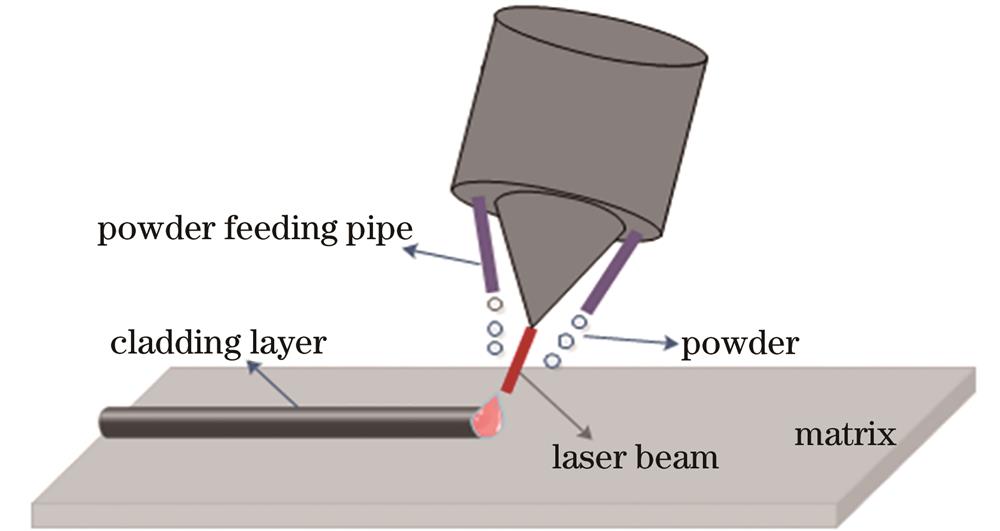 Schematic of coaxial powder feeding laser cladding process