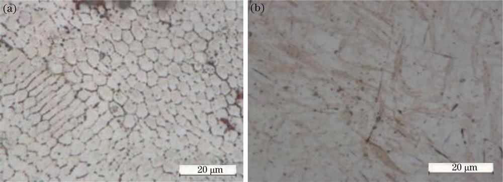 Microstructures of multilayer and multipass repair sample.(a) Cladding zone; (b) heat-affected zone