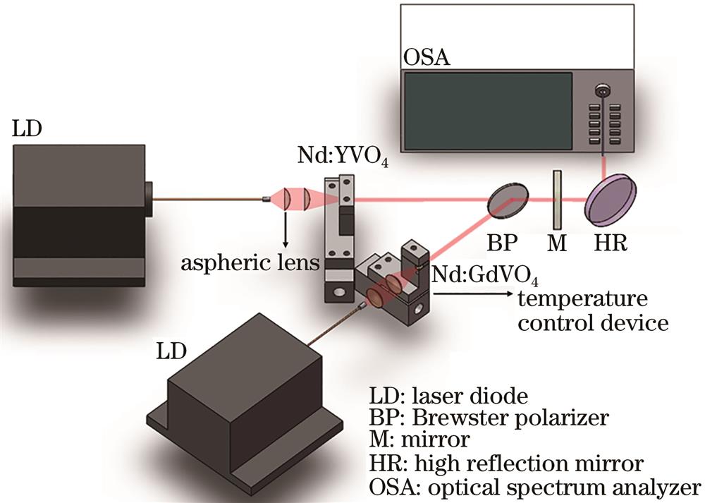 Experimental setup of Y-cavity dual-wavelength laser
