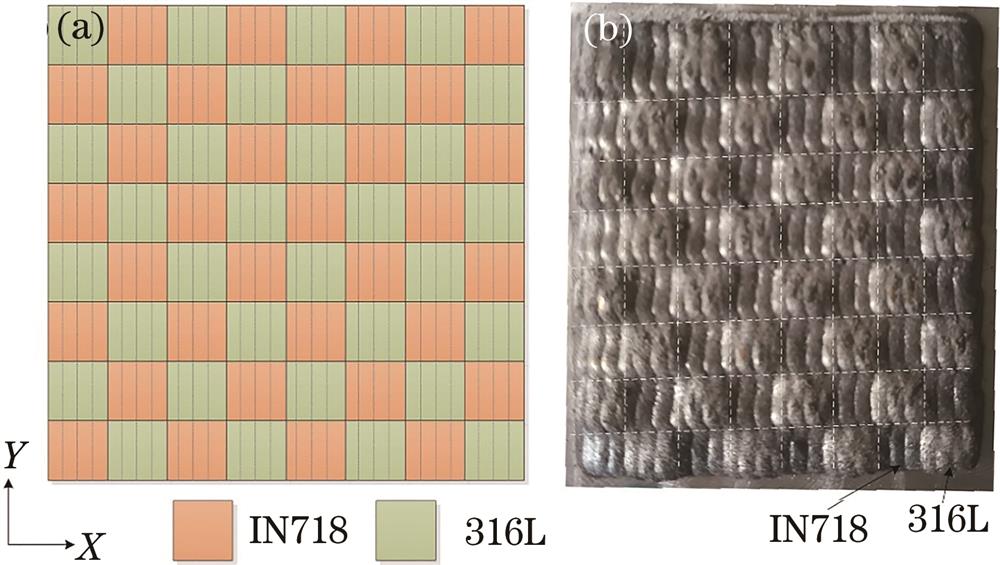 IN718 superalloy and 316L stainless steel abrupt gradient material. (a) Simulated sample; (b) fabricated sample