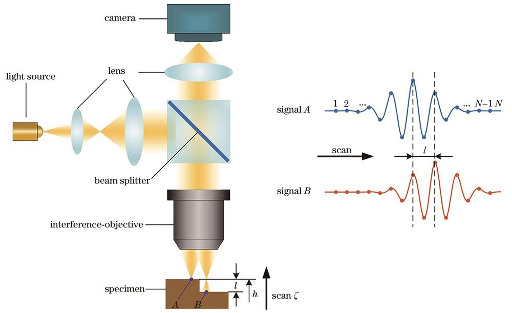 Schematic of signal acquisition for white-light interferometry