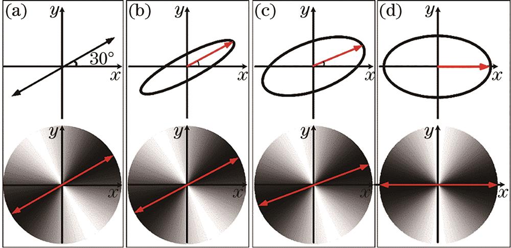 Vibration trajectory curves of elliptically polarized light and light intensity distribution through azimuthally polarization axis finder at different δ values. (a) 0; (b) π/6; (c) π/3; (d) π/2