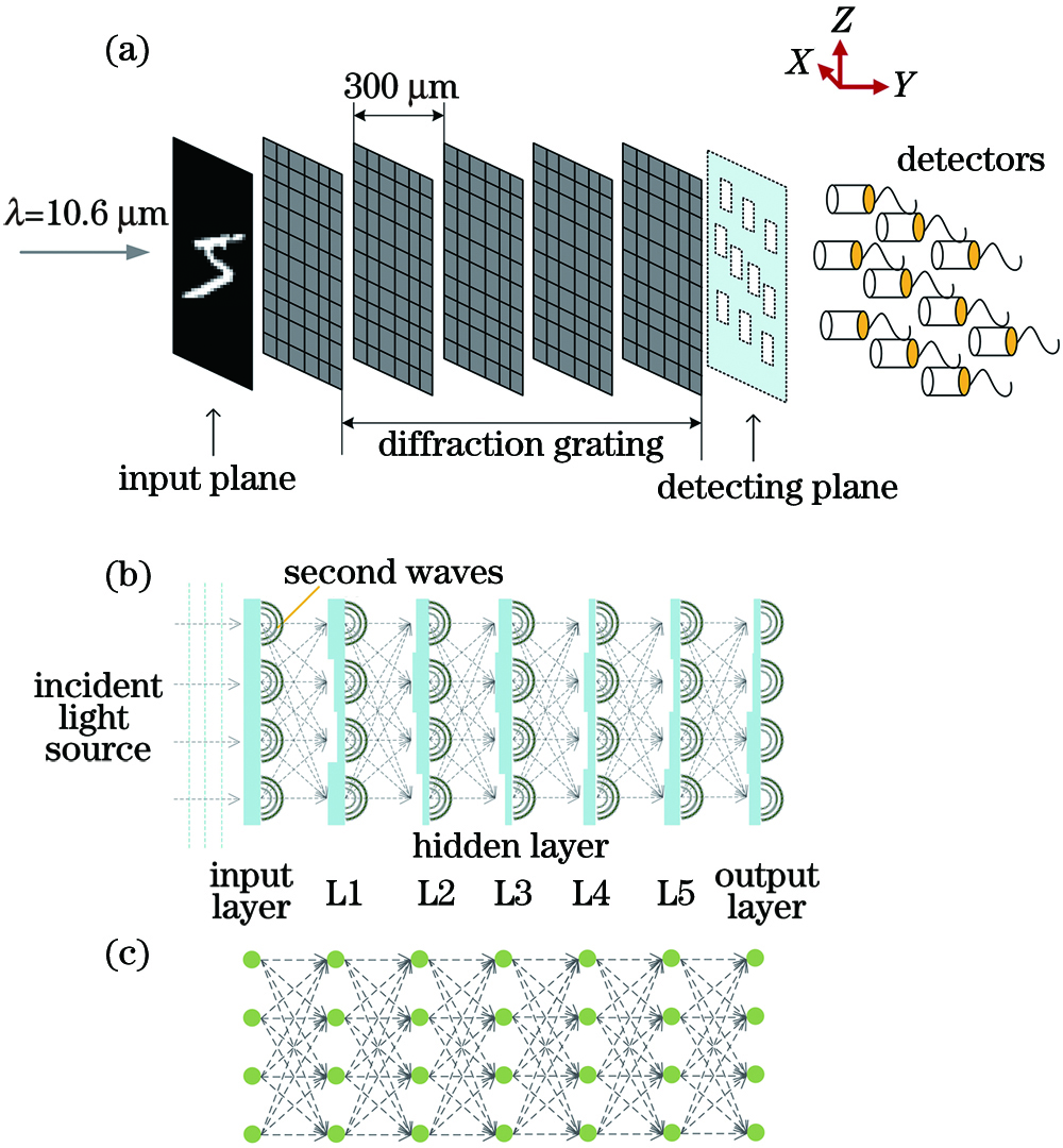 Structural diagrams of nonlinear all-optical diffraction deep neural network. (a) Physical model of system; (b) optical path model; (c) neural network model