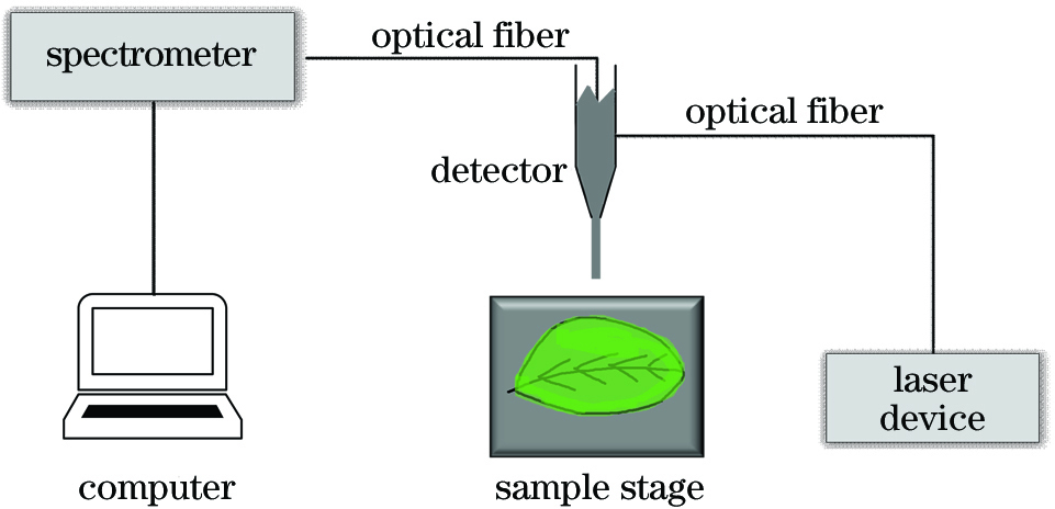 Capture schematic of chlorophyll fluorescence spectrum