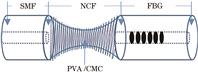 Structure of optical fiber temperature and humidity sensor