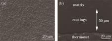 Surface morphology and cross-section of the coating. (a) 2D morphology image; (b) cross-section