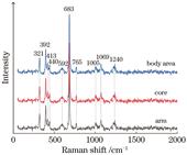 Raman spectra of Trapiche aquamarine sample
