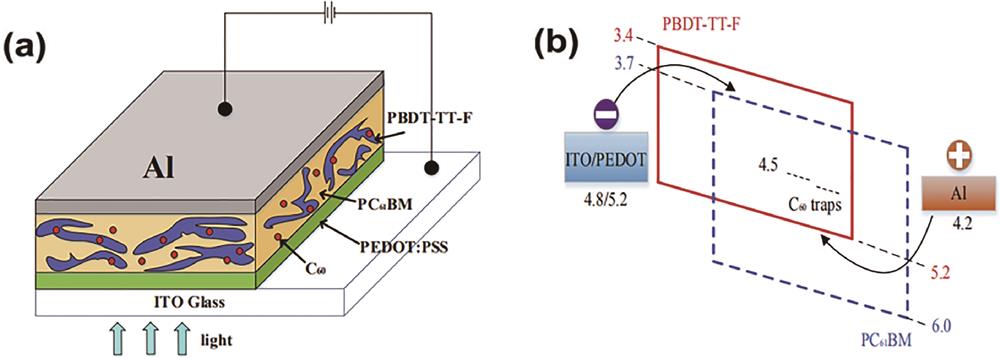 Photodetector doped with C60 nanoparticles in the photosensitive layer[25]. (a) Diagram of device structure; (b) energy level diagram of OPD